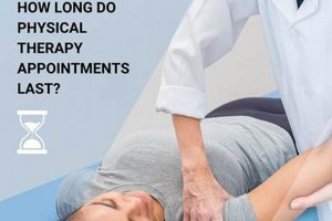Typical Physical Therapy Appointment Lengths & Duration Physical Health & Fitness – Boost Your Body, Energy, and Wellbeing Typical Physical Therapy Appointment Lengths & Duration | Physical Health & Fitness – Boost Your Body, Energy, and Wellbeing