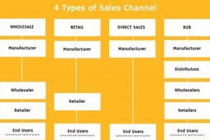 Unlocking the Benefits of Physical Sales Channels: A Guide Physical Health & Fitness – Boost Your Body, Energy, and Wellbeing Unlocking the Benefits of Physical Sales Channels: A Guide | Physical Health & Fitness – Boost Your Body, Energy, and Wellbeing