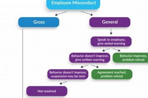 Defining Physical Misconduct: Examples & Explanations Physical Health & Fitness – Boost Your Body, Energy, and Wellbeing Defining Physical Misconduct: Examples & Explanations | Physical Health & Fitness – Boost Your Body, Energy, and Wellbeing