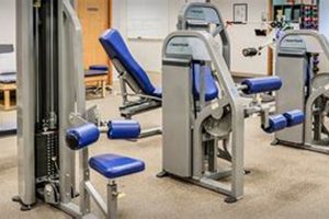 Top Physical Therapy in Olympia, WA Physical Health & Fitness – Boost Your Body, Energy, and Wellbeing Top Physical Therapy in Olympia, WA | Physical Health & Fitness – Boost Your Body, Energy, and Wellbeing