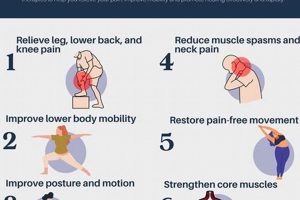 Herniated Disc Physical Therapy: Success Rates & Outcomes Physical Health & Fitness – Boost Your Body, Energy, and Wellbeing Herniated Disc Physical Therapy: Success Rates & Outcomes | Physical Health & Fitness – Boost Your Body, Energy, and Wellbeing