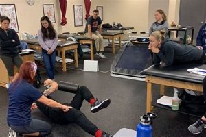 Best Vestibular Physical Therapy Courses Online Physical Health & Fitness – Boost Your Body, Energy, and Wellbeing Best Vestibular Physical Therapy Courses Online | Physical Health & Fitness – Boost Your Body, Energy, and Wellbeing