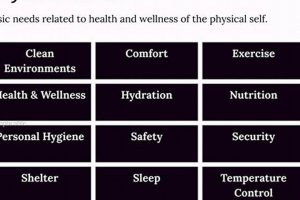 Understanding Your Physical Needs: A Guide Physical Health & Fitness – Boost Your Body, Energy, and Wellbeing Understanding Your Physical Needs: A Guide | Physical Health & Fitness – Boost Your Body, Energy, and Wellbeing