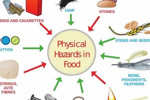 Understanding Physical Hazards in Food Products Physical Health & Fitness – Boost Your Body, Energy, and Wellbeing Understanding Physical Hazards in Food Products | Physical Health & Fitness – Boost Your Body, Energy, and Wellbeing