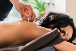 Best Acupuncture & Physical Therapy: A Guide Physical Health & Fitness – Boost Your Body, Energy, and Wellbeing Best Acupuncture & Physical Therapy: A Guide | Physical Health & Fitness – Boost Your Body, Energy, and Wellbeing