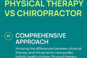 Chiropractor vs. Physical Therapist: Who's Right for You? Physical Health & Fitness – Boost Your Body, Energy, and Wellbeing Chiropractor vs. Physical Therapist: Who's Right for You? | Physical Health & Fitness – Boost Your Body, Energy, and Wellbeing