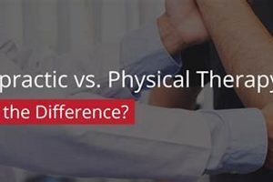 PT vs. Chiropractic Care: Key Differences Explained Physical Health & Fitness – Boost Your Body, Energy, and Wellbeing PT vs. Chiropractic Care: Key Differences Explained | Physical Health & Fitness – Boost Your Body, Energy, and Wellbeing