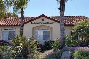 Top Encinitas Physical Therapy Clinics & Experts Physical Health & Fitness – Boost Your Body, Energy, and Wellbeing Top Encinitas Physical Therapy Clinics & Experts | Physical Health & Fitness – Boost Your Body, Energy, and Wellbeing