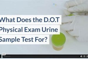 Pass Your DOT Physical Urine Test: A Guide Physical Health & Fitness – Boost Your Body, Energy, and Wellbeing Pass Your DOT Physical Urine Test: A Guide | Physical Health & Fitness – Boost Your Body, Energy, and Wellbeing