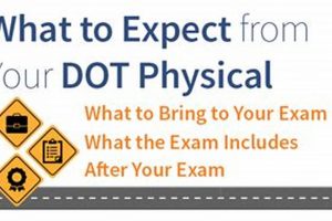 Your DOT Physical: What to Expect & How to Prepare Physical Health & Fitness – Boost Your Body, Energy, and Wellbeing Your DOT Physical: What to Expect & How to Prepare | Physical Health & Fitness – Boost Your Body, Energy, and Wellbeing