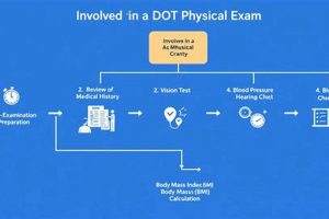 What's Involved In A Dot Physical Physical Health & Fitness – Boost Your Body, Energy, and Wellbeing What's Involved In A Dot Physical | Physical Health & Fitness – Boost Your Body, Energy, and Wellbeing