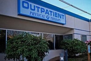 Top Physical Therapists in Kent, WA Physical Health & Fitness – Boost Your Body, Energy, and Wellbeing Top Physical Therapists in Kent, WA | Physical Health & Fitness – Boost Your Body, Energy, and Wellbeing