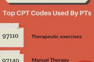 Understanding Physical Therapy Treatment Codes & Billing Physical Health & Fitness – Boost Your Body, Energy, and Wellbeing Understanding Physical Therapy Treatment Codes & Billing | Physical Health & Fitness – Boost Your Body, Energy, and Wellbeing