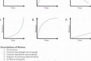 Free Physics Motion Graphs Worksheet & Key Physical Health & Fitness – Boost Your Body, Energy, and Wellbeing Free Physics Motion Graphs Worksheet & Key | Physical Health & Fitness – Boost Your Body, Energy, and Wellbeing
