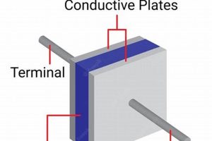 Building Physics: Science in Construction Physical Health & Fitness – Boost Your Body, Energy, and Wellbeing Building Physics: Science in Construction | Physical Health & Fitness – Boost Your Body, Energy, and Wellbeing