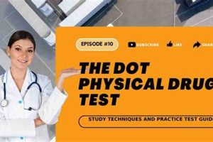 Pre-Employment Physicals & Drug Tests: What to Expect Physical Health & Fitness – Boost Your Body, Energy, and Wellbeing Pre-Employment Physicals & Drug Tests: What to Expect | Physical Health & Fitness – Boost Your Body, Energy, and Wellbeing