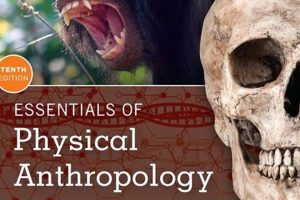 Guide to Essentials of Physical Anthropology Basics Physical Health & Fitness – Boost Your Body, Energy, and Wellbeing Guide to Essentials of Physical Anthropology Basics | Physical Health & Fitness – Boost Your Body, Energy, and Wellbeing