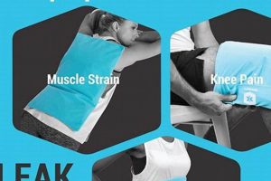 Best Large Ice Packs for Physical Therapy &amp; Recovery | Physical Health & Fitness – Boost Your Body, Energy, and Wellbeing