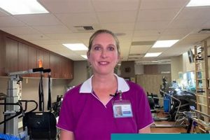 Lourdes Physical Therapy Physical Health & Fitness – Boost Your Body, Energy, and Wellbeing Lourdes Physical Therapy | Physical Health & Fitness – Boost Your Body, Energy, and Wellbeing