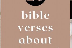 Biblical Healing: Body & Soul Restored | Physical Health & Fitness – Boost Your Body, Energy, and Wellbeing