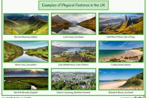 Real-World Physical Features Examples & Case Studies | Physical Health & Fitness – Boost Your Body, Energy, and Wellbeing