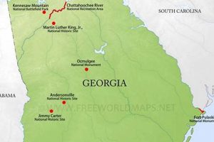 Exploring Georgia's Physical Map: Key Features | Physical Health & Fitness – Boost Your Body, Energy, and Wellbeing