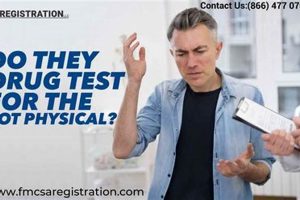 Pre-Employment Physicals: Drug Tests & What to Expect | Physical Health & Fitness – Boost Your Body, Energy, and Wellbeing