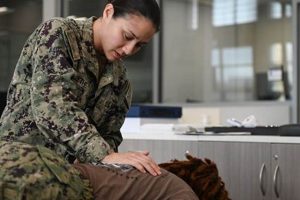 Navy Physical Therapy: A Guide for US Navy | Physical Health & Fitness – Boost Your Body, Energy, and Wellbeing