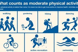 Pre-Work Physicals: Where To Go? Physical Health & Fitness – Boost Your Body, Energy, and Wellbeing Pre-Work Physicals: Where To Go? | Physical Health & Fitness – Boost Your Body, Energy, and Wellbeing