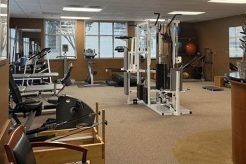 Best Physical Therapy Los Gatos: Expert PT Care Physical Health & Fitness – Boost Your Body, Energy, and Wellbeing Best Physical Therapy Los Gatos: Expert PT Care | Physical Health & Fitness – Boost Your Body, Energy, and Wellbeing
