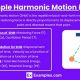 AP Physics: Simple Harmonic Motion Guide | Physical Health & Fitness – Boost Your Body, Energy, and Wellbeing