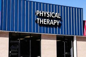 Best Physical Therapy in Carrollton, GA: Top Clinics Physical Health & Fitness – Boost Your Body, Energy, and Wellbeing Best Physical Therapy in Carrollton, GA: Top Clinics | Physical Health & Fitness – Boost Your Body, Energy, and Wellbeing