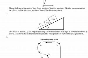 Ace AP Physics Unit 2: Practice Problems &amp; Solutions | Physical Health & Fitness – Boost Your Body, Energy, and Wellbeing