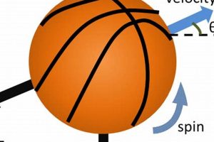 The Physics of Basketball: A Slam Dunk Science | Physical Health & Fitness – Boost Your Body, Energy, and Wellbeing