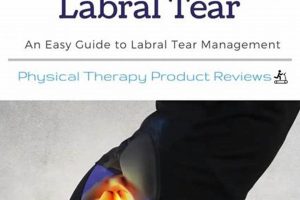 Effective Hip Labral Tear Physical Therapy Treatment & Rehab | Physical Health & Fitness – Boost Your Body, Energy, and Wellbeing