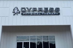 Top Physical Therapy in Cypress TX: Find Relief Now Physical Health & Fitness – Boost Your Body, Energy, and Wellbeing Top Physical Therapy in Cypress TX: Find Relief Now | Physical Health & Fitness – Boost Your Body, Energy, and Wellbeing