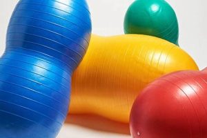 Top Physical Therapy Balance Equipment for Rehab | Physical Health & Fitness – Boost Your Body, Energy, and Wellbeing