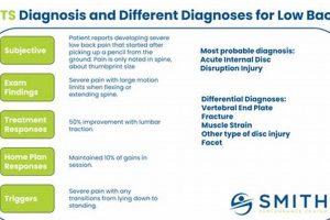 Complete Physical Therapy Diagnosis Guide | Physical Health & Fitness – Boost Your Body, Energy, and Wellbeing