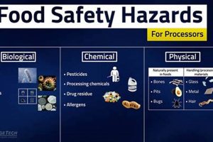 Food Handler Hazards: Physical Contamination Risks Physical Health & Fitness – Boost Your Body, Energy, and Wellbeing Food Handler Hazards: Physical Contamination Risks | Physical Health & Fitness – Boost Your Body, Energy, and Wellbeing