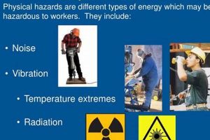 Beyond Physical Hazards: Non-Physical Risks Physical Health & Fitness – Boost Your Body, Energy, and Wellbeing Beyond Physical Hazards: Non-Physical Risks | Physical Health & Fitness – Boost Your Body, Energy, and Wellbeing