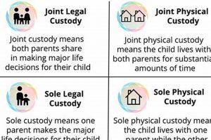 Alabama Joint Physical Custody Guide | Physical Health & Fitness – Boost Your Body, Energy, and Wellbeing
