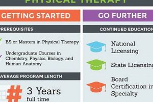 Best 3 3 Physical Therapy Programs: Guide | Physical Health & Fitness – Boost Your Body, Energy, and Wellbeing