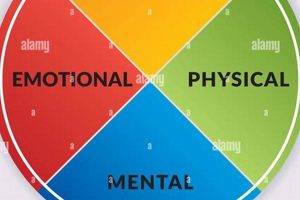 Holistic Well-being: Nurturing Mind, Body & Spirit | Physical Health & Fitness – Boost Your Body, Energy, and Wellbeing