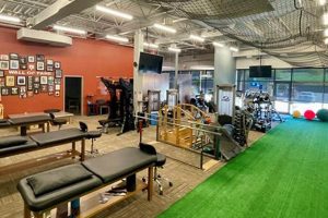 Rock Valley Physical Therapy Omaha | Physical Health & Fitness – Boost Your Body, Energy, and Wellbeing
