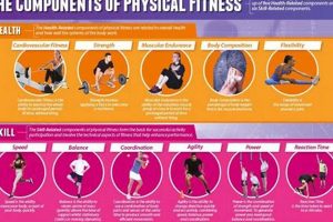 Essential Guide to the Four Parts of Physical Fitness Training | Physical Health & Fitness – Boost Your Body, Energy, and Wellbeing