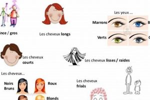 Typical French Features: A Guide | Physical Health & Fitness – Boost Your Body, Energy, and Wellbeing
