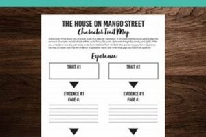 Esperanza's Evolving Image: A Look at Mango Street | Physical Health & Fitness – Boost Your Body, Energy, and Wellbeing