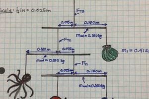 Explore Physics: Mobile Project Ideas & Examples Physical Health & Fitness – Boost Your Body, Energy, and Wellbeing Explore Physics: Mobile Project Ideas & Examples | Physical Health & Fitness – Boost Your Body, Energy, and Wellbeing