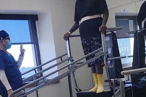 Best HCA Physical Therapy: Expert Care & Recovery Physical Health & Fitness – Boost Your Body, Energy, and Wellbeing Best HCA Physical Therapy: Expert Care & Recovery | Physical Health & Fitness – Boost Your Body, Energy, and Wellbeing