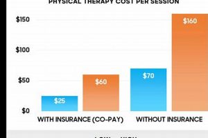 How Much Physical Therapy Do You Need? | Physical Health & Fitness – Boost Your Body, Energy, and Wellbeing